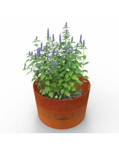 Bottomless planters made from British steel and left to weather